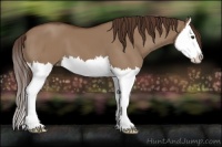Horse Color:Liver Red Dun Splash 