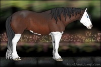 Horse Color:Brown Splash