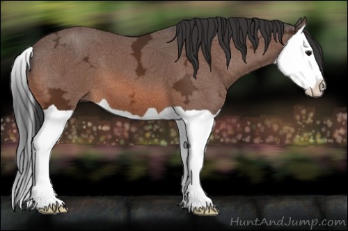 Horse Color:Bay Ice Splash 