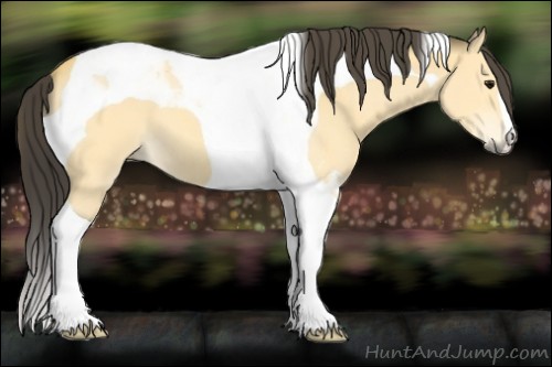 Horse Color:Buckskin Tobiano 