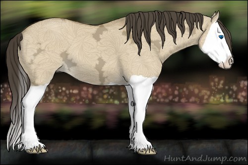 Horse Color:Buckskin Ice Dun Splash 