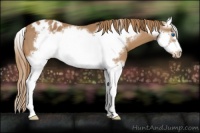Horse Color:Chestnut Splash Frame Varnish 
