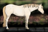 Horse Color:Buckskin Pearl  and Buckskin Roan Pearl 