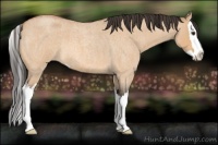 Horse Color:Bay Roan Dun Splash 