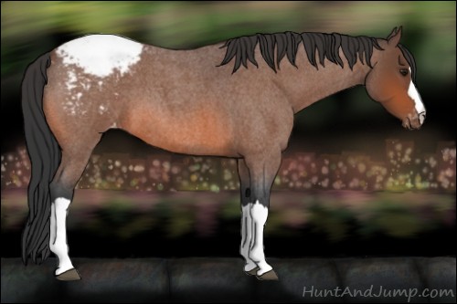 Horse Color:Bay Roan Varnish 