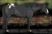 Horse Color:Black Varnish 