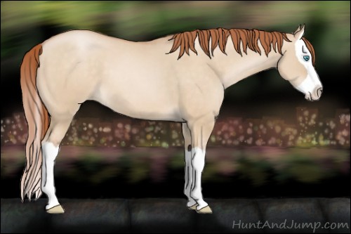 Horse Color:Buckskin Pearl Dun Splash 