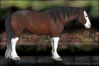 Horse Color:Brown Splash 