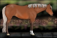 Horse Color:Silver Bay