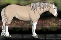 Horse Color:Silver Bay Dun Splash 