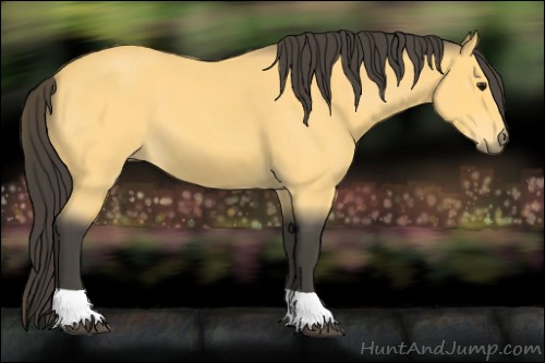 Horse Color:Buckskin Roan Tobiano 