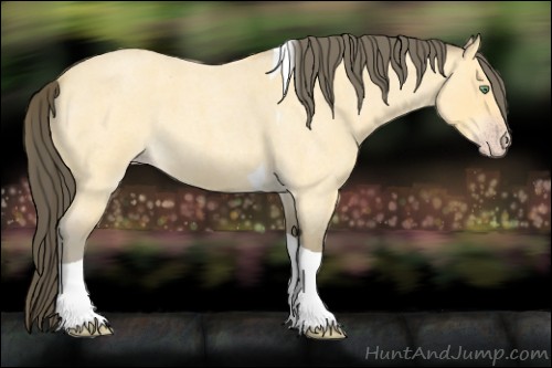 Horse Color:Amber Cream Champagne Roan Tobiano