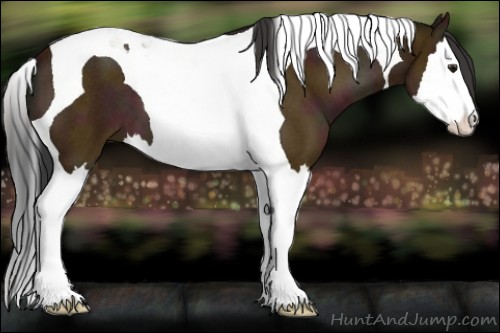 Horse Color:Midnight Bay Roan Splash Tobiano 