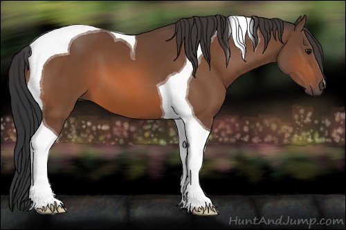 Horse Color:Bay Tobiano