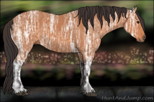 Horse Color:Buckskin Ice