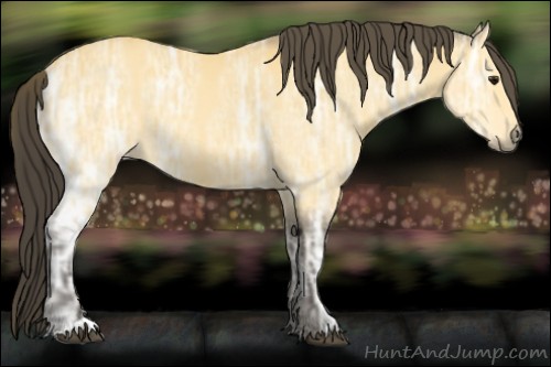 Horse Color:Buckskin Ice 