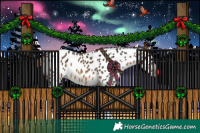 Horse Color:Buckskin Sabino Splash Tobiano Appaloosa 