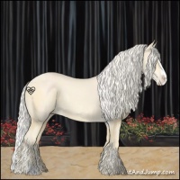 Horse Color:Cremello Splash  and Palomino Pearl Splash 