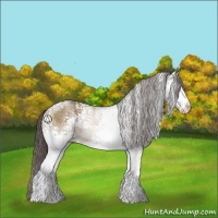 Horse Color:White Spotted Classic Champagne Rabicano 