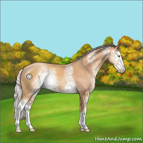 Horse Color:White Spotted Silver Sable Champagne Sabino Splash