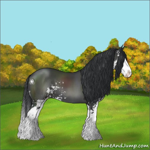 Horse Color:Black Sabino Splash