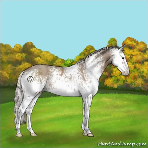 Horse Color:White Spotted Silver Grullo Splash