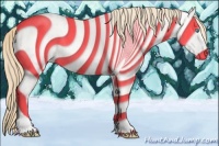 Horse Color:Perlino Dun 