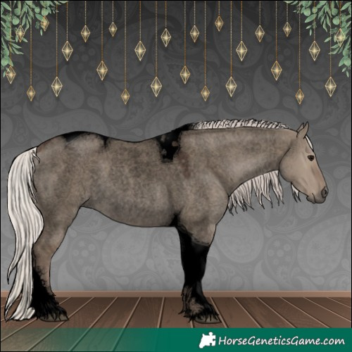 Horse Color:Void Silver Grullo Roan Tobiano