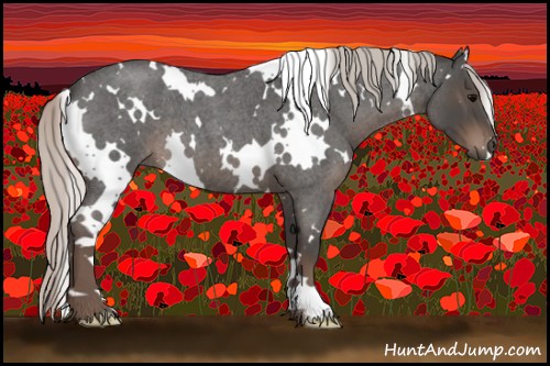 Horse Color:White Spotted Silver Blue Roan 