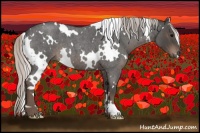 Horse Color:White Spotted Silver Blue Roan 