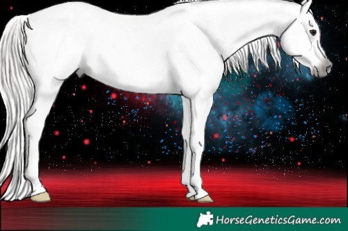 Horse Color:Gray White Spotted Silver Brown Appaloosa 