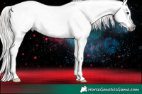 Horse Color:Gray White Spotted Silver Brown Appaloosa 