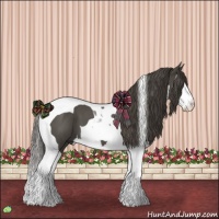 Horse Color:Smoky Blue Roan Splash Tobiano 