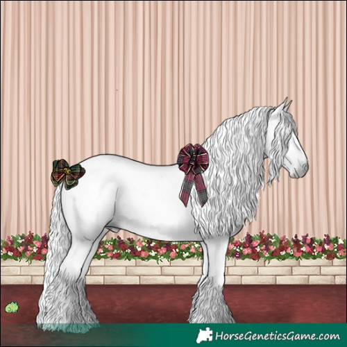 Horse Color:Gray Black 
