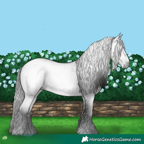Horse Color:Gray Blue Roan
