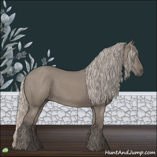 Horse Color:Silver Grullo 