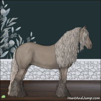 Horse Color:Silver Grullo