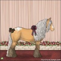 Horse Color:Silver Buckskin Appaloosa 