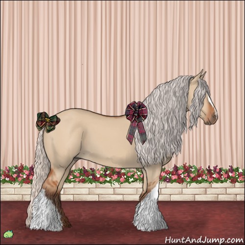 Horse Color:Silver Bay Dun 