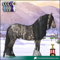 Horse Color:Brown Dun Tobiano and Black Tobiano