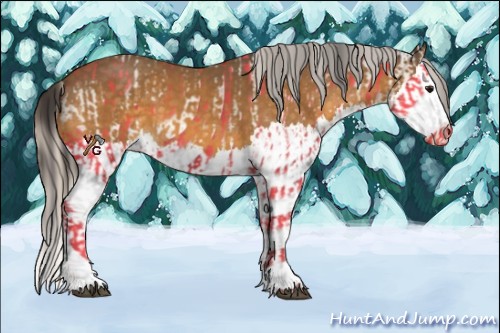 Horse Color:Buckskin Splash  and Silver Buckskin Splash 