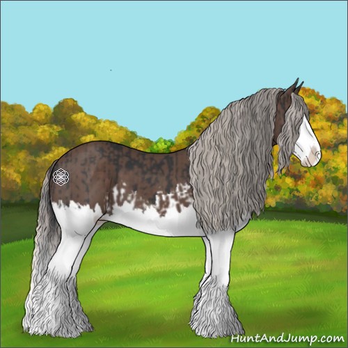 Horse Color:Black Splash and Silver Black Splash