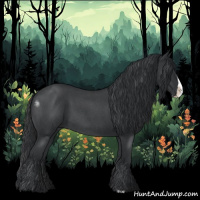 Horse Color:Blue Roan Splash 