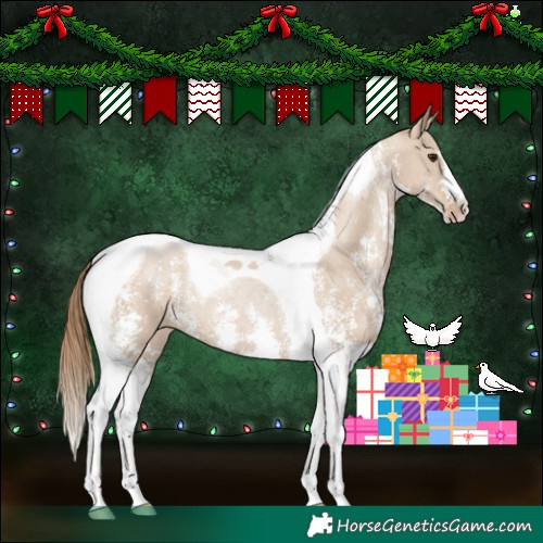 Horse Color:Grullo Pearl Sabino Tobiano Rabicano 