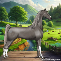 Horse Color:Silver Black 