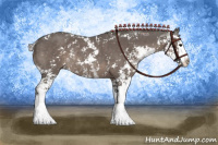 Horse Color:Silver Black Sabino Splash Rabicano