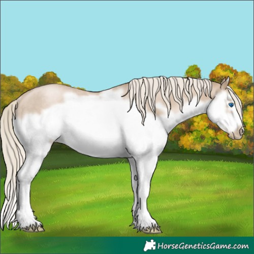 Horse Color:Chocolate Palomino Roan Pearl Splash Frame Rabicano