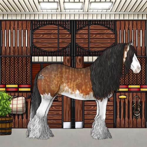Horse Color:Buckskin Splash and Bay Splash
