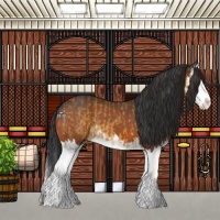 Horse Color:Buckskin Splash  and Bay Splash 