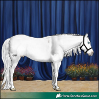 Horse Color:Platinum White Spotted Silver Sable Cream Champagne Dun Mushroom Sabino Splash Frame Blanket  and Gray Platinum White Spotted Chocolate Silver Brown Splash Rabicano 
